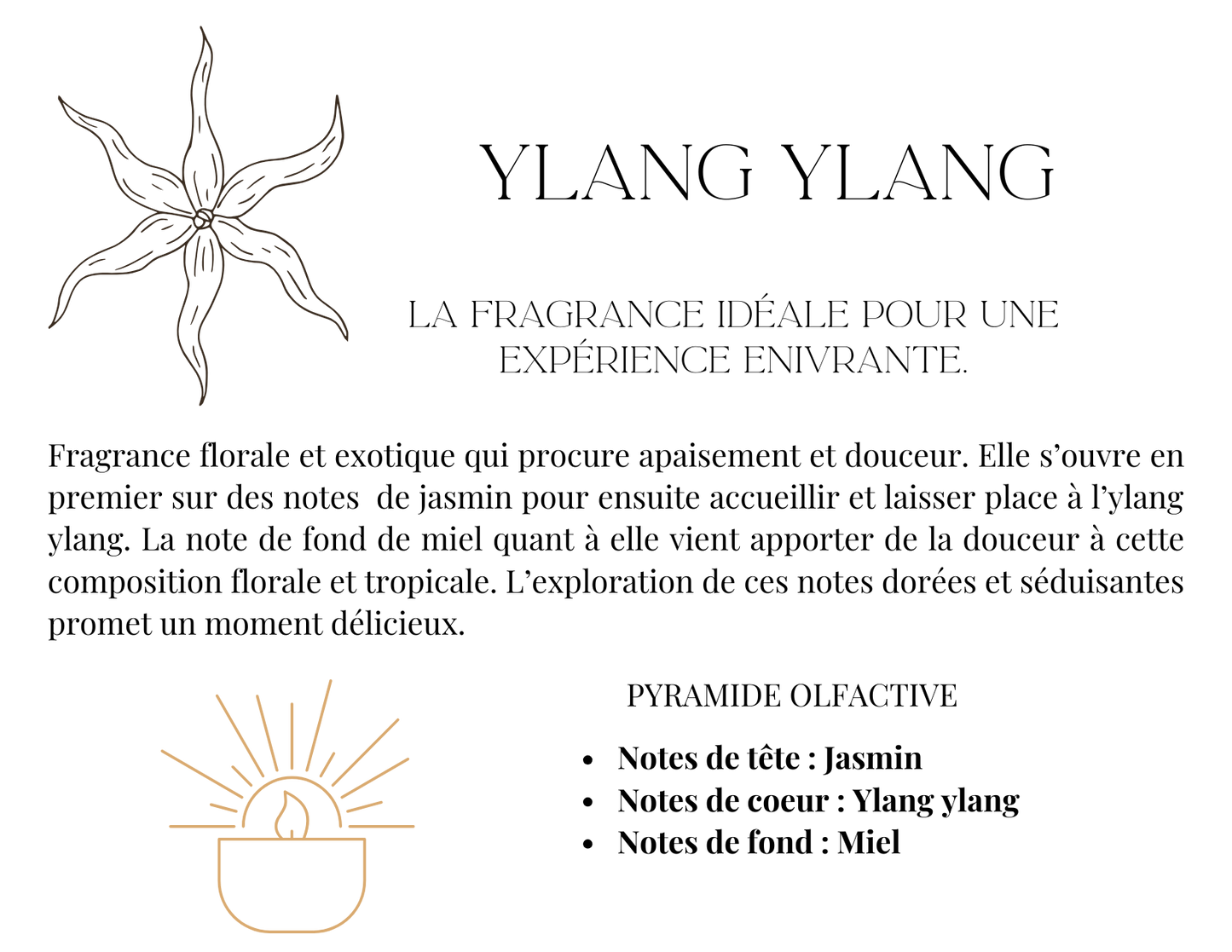 Ylang Ylang - Marbré Noir Doré